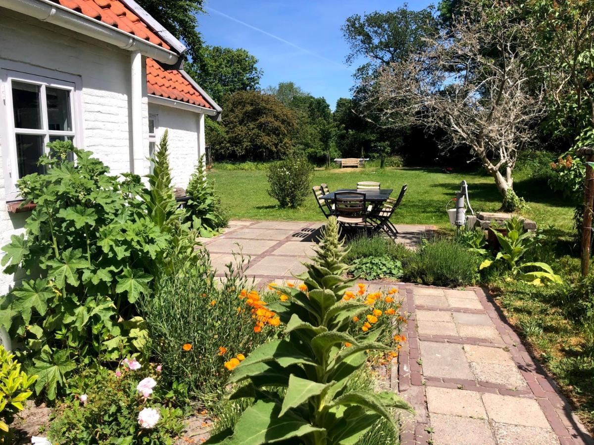 Cottage Duinroos - Dune Rose Oostvoorne Exterior photo