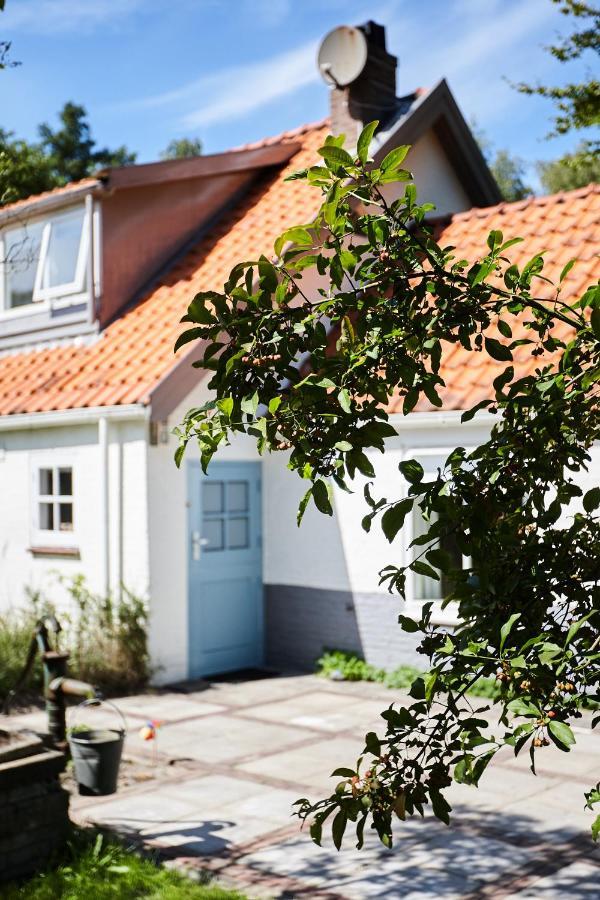 Cottage Duinroos - Dune Rose Oostvoorne Exterior photo